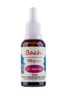 FELIzen | Florais Bach